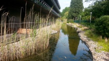 Exemple chantier EPDM bassin d'agrément