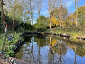 Réalisation d'un Bassin